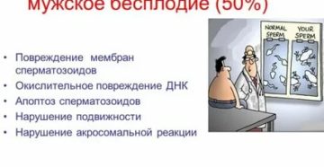 Оксидативный стресс и мужское бесплодие