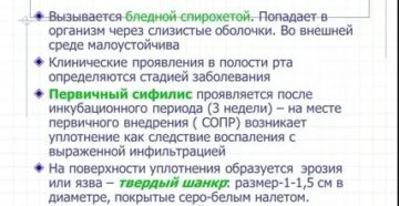 Сколько сифилис живет вне организма