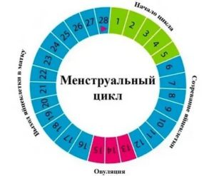 Может ли сохранена беременность после месячных