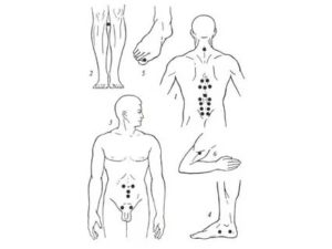 Какие точки массировать для улучшения потенции
