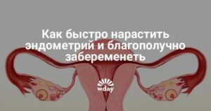 Как улучшить эндометрий для имплантации народными средствами