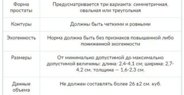 Нормальные размеры предстательной железы по узи у взрослых