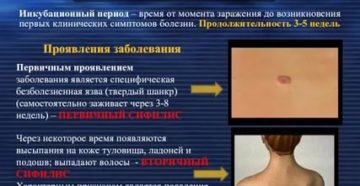 Сколько язв появляется во время сифилиса