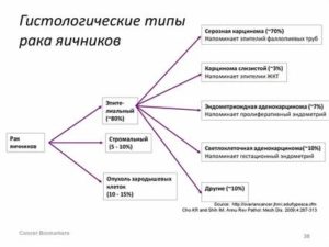 Что показывает гистология при раке яичников