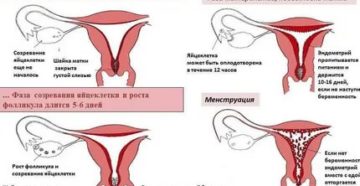 Может ли женщина забеременеть в 52 года если еще есть месячные