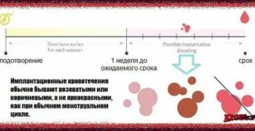 Могут ли идти месячные после имплантации эмбриона