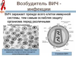 Какая наука изучает возбудителей вич инфекций