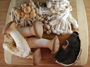 Лечение рака простаты грибами шиитаке