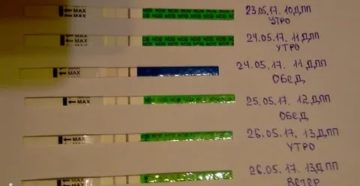 Почему тянет живот и болит поясница за две недели до месячных Почему тянет живот и болит поясница за две недели до месячных