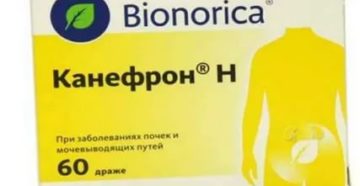 Можно ли принимать канефрон при простатите