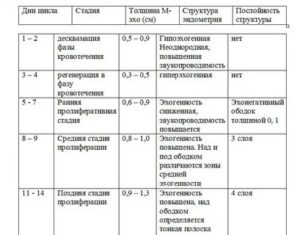 Сколько должно быть м-эхо перед месячными