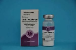 Цефотаксим при простатите сколько дней