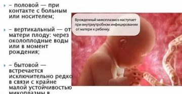 Можно ли заразиться микоплазмозом бытовым путем