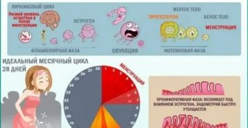 Почему поменялся характер месячных Почему поменялся характер месячных