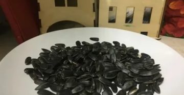 Можно щелкать семечки при месячных Можно щелкать семечки при месячных