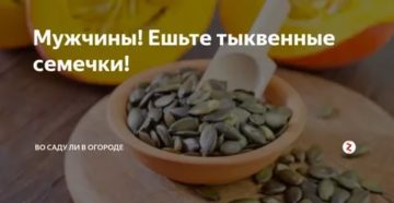 Рецепты лечения аденомы простаты тыквенными семечками