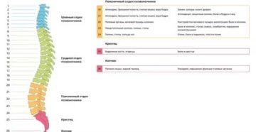 Могут из за позвоночника быть проблемы с простатой