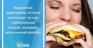 Почему перед месячными начинается жор Почему перед месячными начинается жор