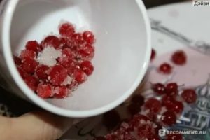 Можно ли пить калину при цистите