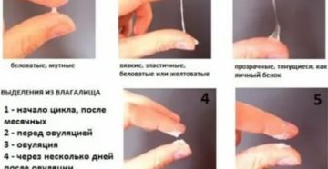 Могут ли быть перед месячными выделения как яичный белок