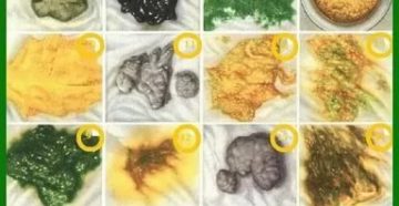 Каким должен быть стул у 5-ти месячных детей