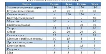 Сколько раз в день нужно кормить индоуток месячных