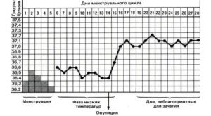 Почему может подняться температура после месячных