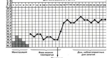 Почему может подняться температура после месячных Почему может подняться температура после месячных