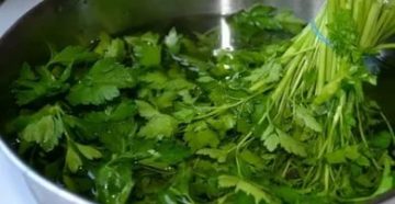 Как отвар петрушки влияет на месячные Как отвар петрушки влияет на месячные