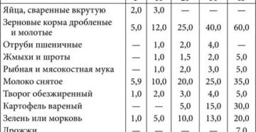 Можно ли кормить месячных бройлеров овсом