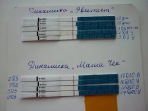 Как понять пойдут месячные или беременность