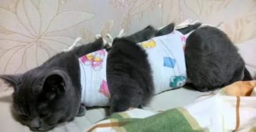 Как проходят месячные после стерилизации