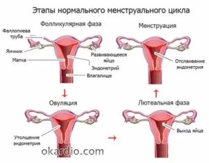 Почему у меня месячные не идут после первого раза
