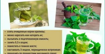 Можно ли пить отвар крапивы при цистите