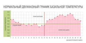 Как меняется температура тела в менструальном цикле
