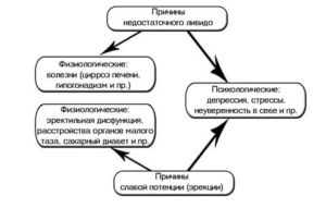 Чем потенция отличается от либидо