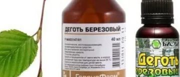 Лечение простатита настойкой на березовых почках