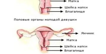 Может ли при климаксе матка быть в тонусе