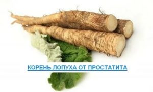 Корень лопуха при онкологии простаты