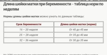 Длина шейки матки на 32 неделе беременности норма по узи