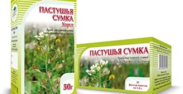 Можно ли пить пастушью сумку при месячных