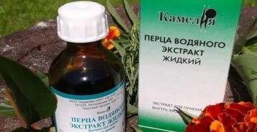 Как пить настойку водяного перца чтобы отсрочить месячные Как пить настойку водяного перца чтобы отсрочить месячные
