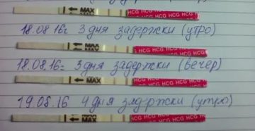 Почему месячные задержались на 20 дней Почему месячные задержались на 20 дней