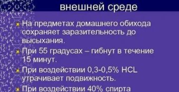 Сколько живет вирус сифилиса во внешней среде