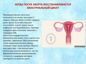 Почему когда у тебя заканчиваются месячные через неделю они снова начинаются