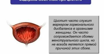 Может ли цистит стать причиной задержки месячных