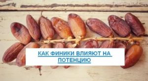 Как финики влияют на потенцию у мужчин