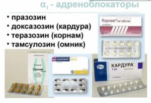 Применение кардуры при простатите