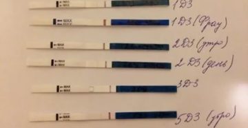 Что может быть хгч отрицательный месячных нет после эко Что может быть хгч отрицательный месячных нет после эко