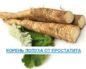 Корень лопуха при раке предстательной железы